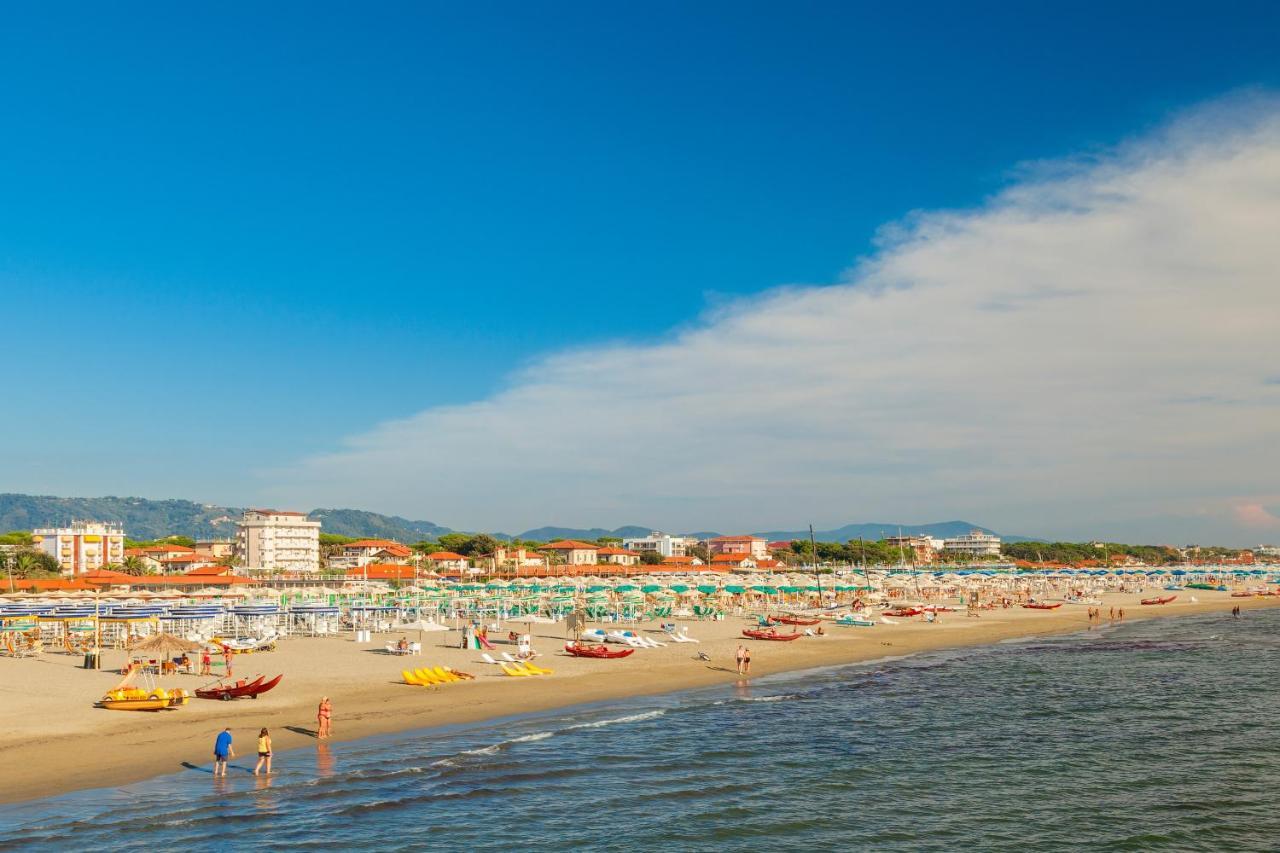 마리나 디 카라라 La Casina Al Mare Vista Pineta 아파트 외부 사진
